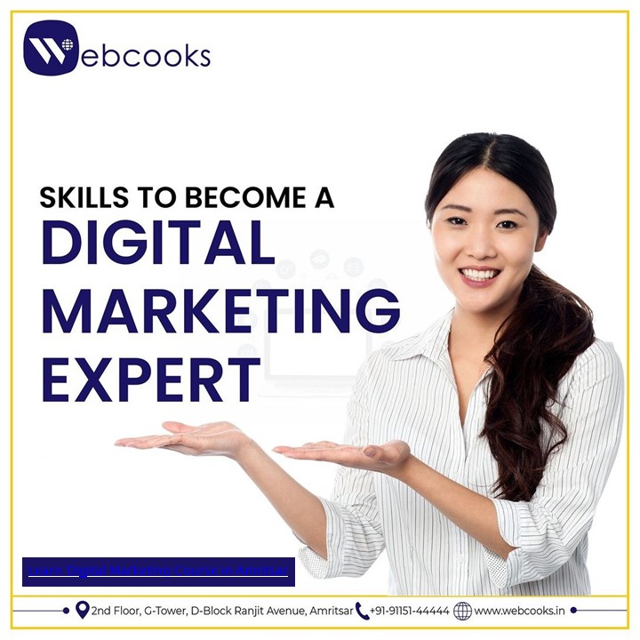 Digital Marketing in Amritsar