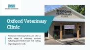 Benefits of Dog Grooming Oxford, MS
