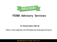 FEMA Advisory Services