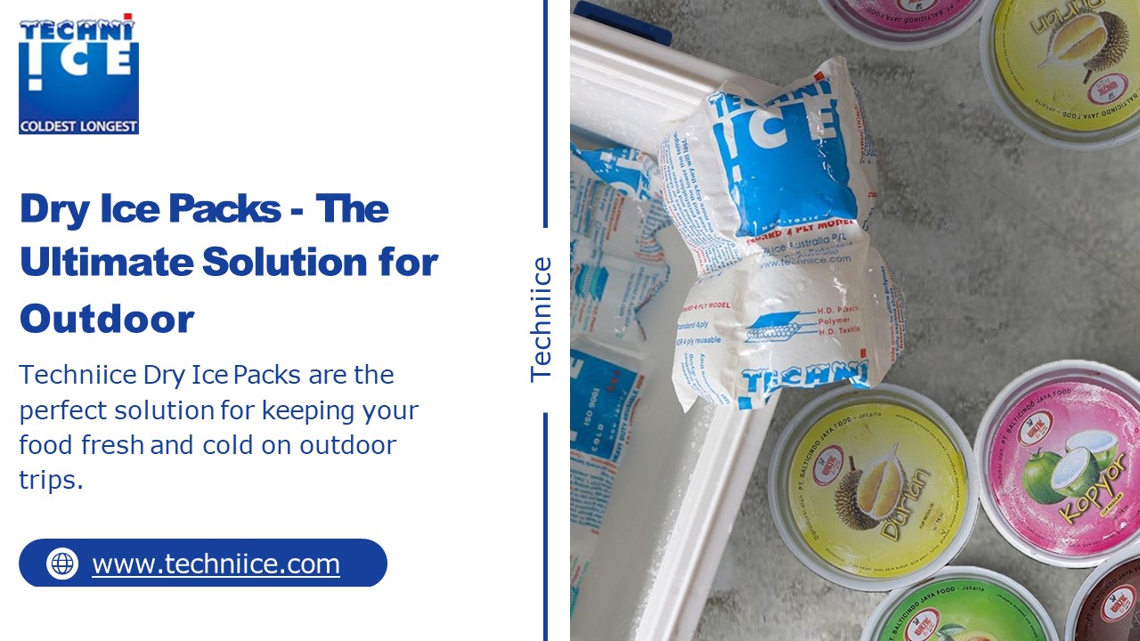 Dry Ice Packs - The Ultimate Solution for Outdoor