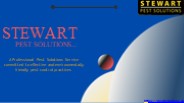 Pest Control In Charlotte - Stewart Pest Solutions