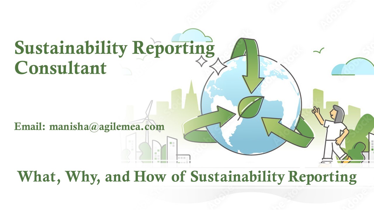 What, Why, and How of Sustainability Reporting