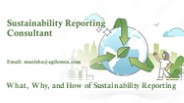 What, Why, and How of Sustainability Reporting