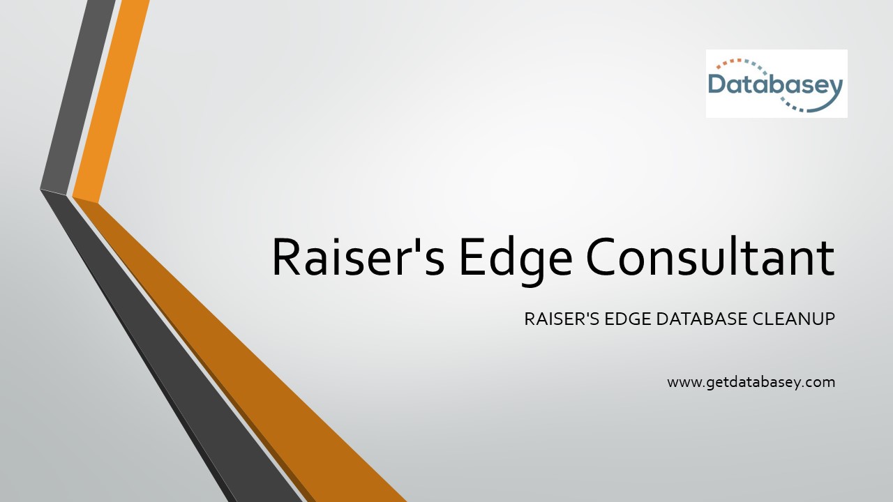 PPT Raiser's Edge Consultant Get Data Basey PowerPoint presentation
