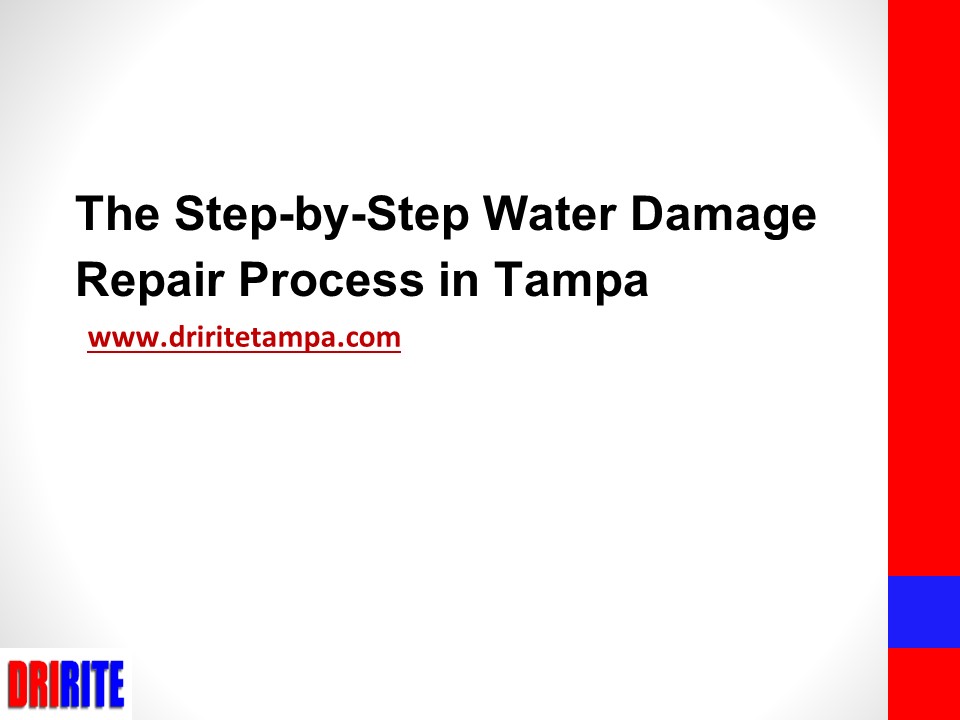 The Step-by-Step Water Damage Repair Process in Tampa (1)