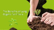 The Benefits of Using Organic Fertilizers (1)