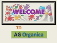 Essential Oils Manufacturer & Wholesale Supplier