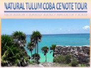Natural Tulum Coba Cenote Tour