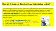 What is Spirit Airlines Flight Status?
