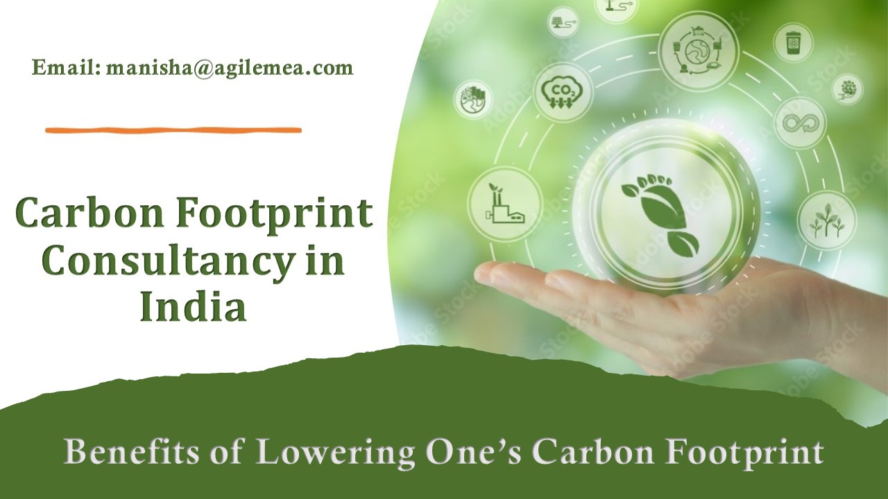 Benefits of Lowering One's Carbon Footprint