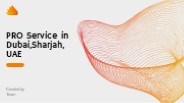 PRO Service in Dubai,Sharjah,UAE