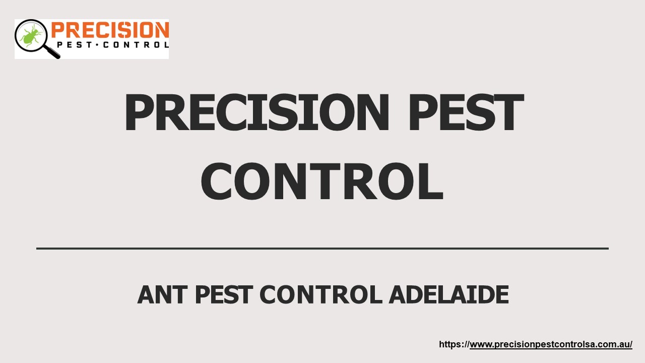 PPT Ant Pest Control Adelaide Precision Pest Control in AU