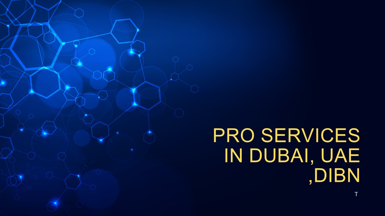 PRO SERVICES in Dubai, UAE ,DIBN