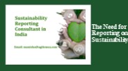 The Need for Reporting on Sustainability