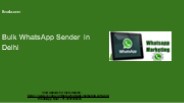 WhatsApp message broadcast software Delhi