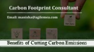 Benefits of Cutting Carbon Emissions