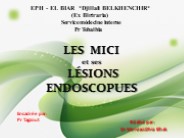 inflamatory bowel disease endoscopy