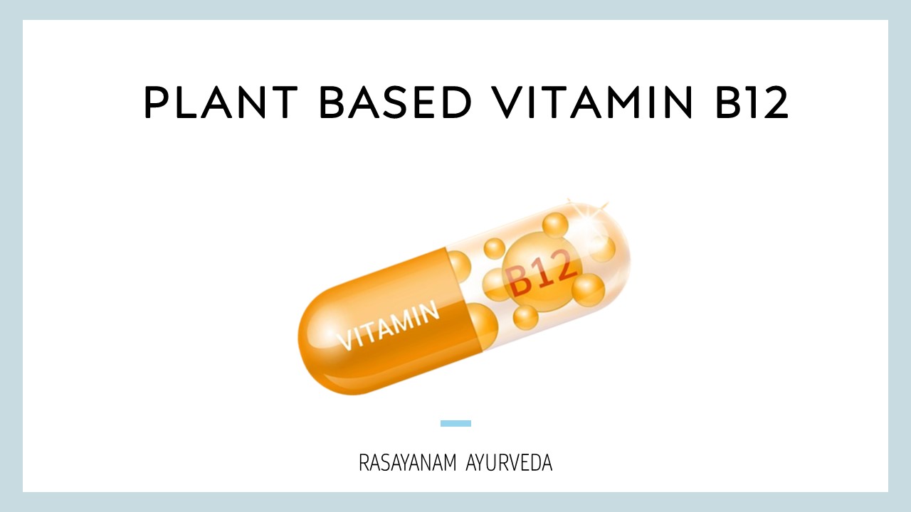 PPT Plant Based Vitamin B12 PowerPoint presentation free to