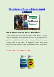 The Magic of Seaweed (Kelp) Liquid Fertilizer