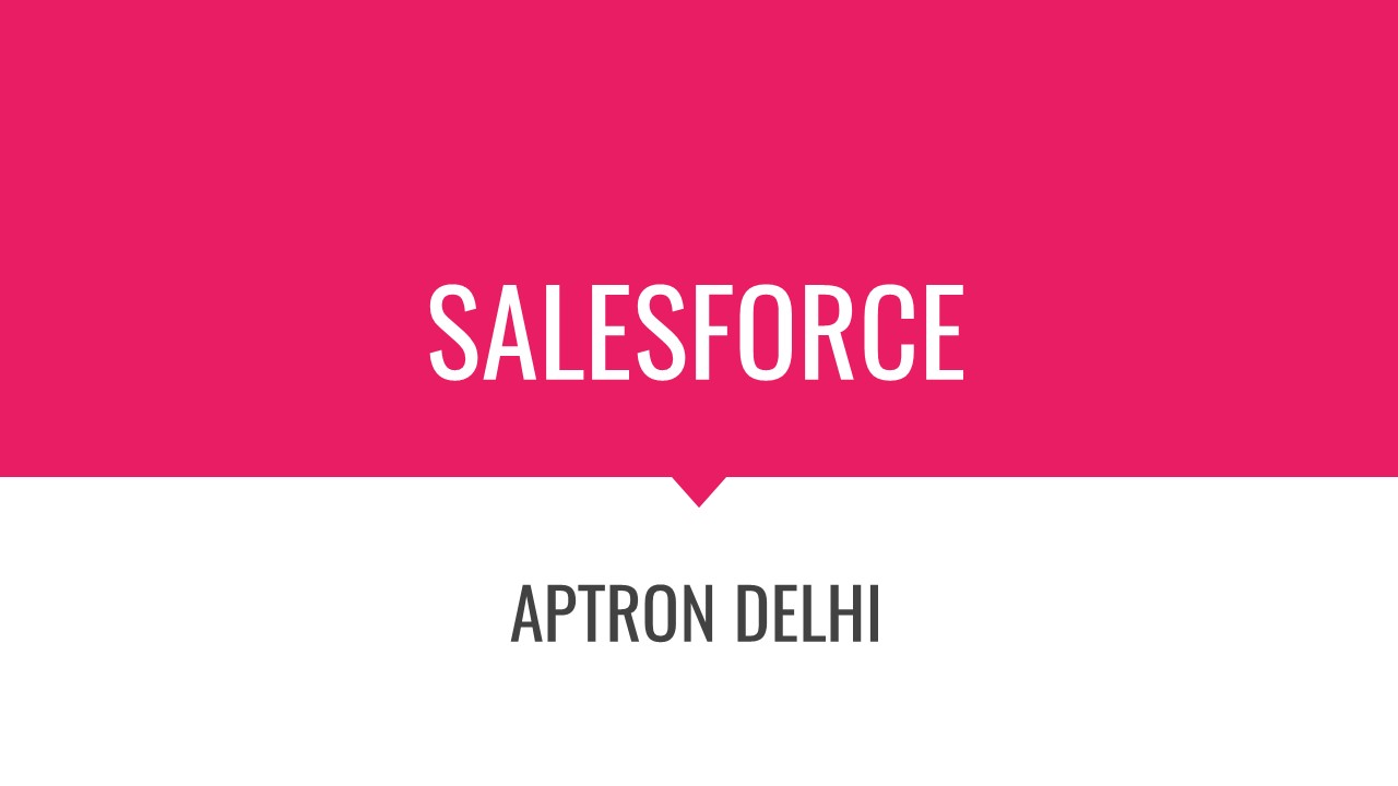 Salesforce training in Delhi