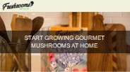 Start Growing Gourmet Mushrooms at Home