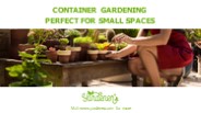 Container Gardening: Perfect for Small Spaces