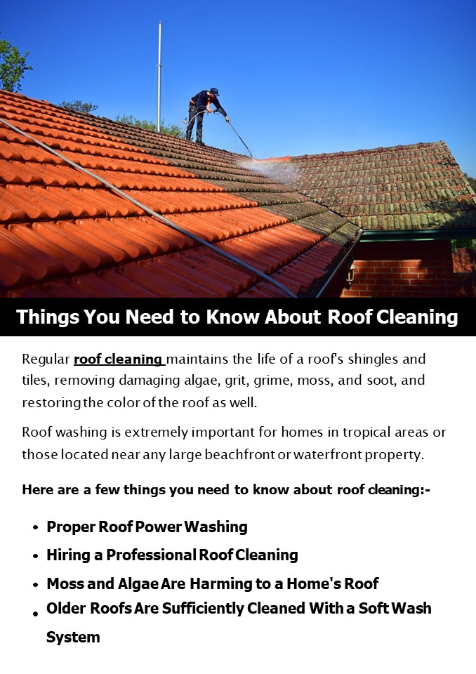 Things You Need to Know About Roof Cleaning
