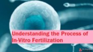 In Vitro Fertilization (IVF) -  | Complete Guide (1)