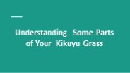 Understanding Some Parts of Your Kikuyu Gras