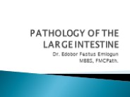 Pathology Of Large Intestine
