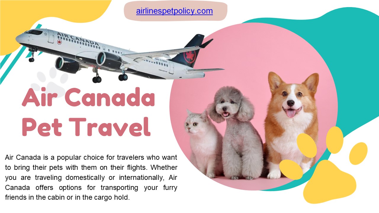The Ultimate Guide to Traveling with Pets on Air Canada (1)