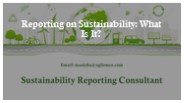 Reporting on Sustainability: What Is It?