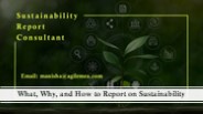 What, Why, and How to Report on Sustainability