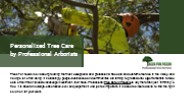 Personalized Tree Care by Professional Arborists (1)