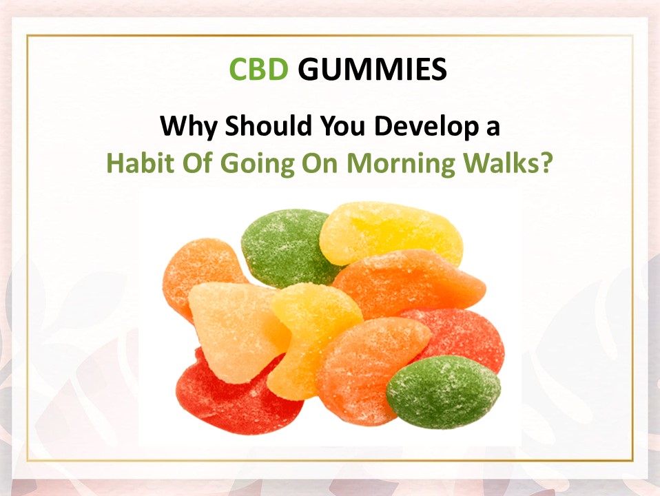 Why Should You Develop a Habit Of Going On Morning Walks?