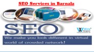 SEO Services in Barnala | Search Engine Optimization