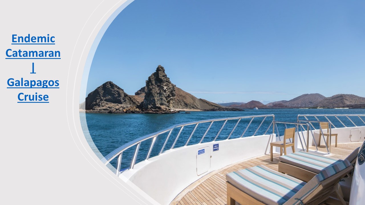 Endemic Catamaran | Galapagos Cruise