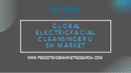 Electric Facial Cleansing Brush Market