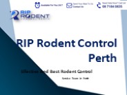 RIP Rodent Control Perth