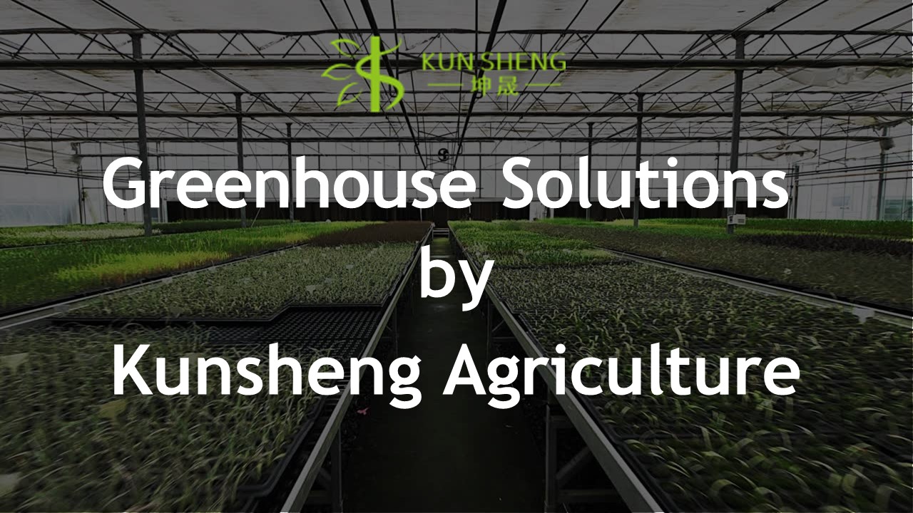 Greenhouse Solutions by Kunsheng Agriculture