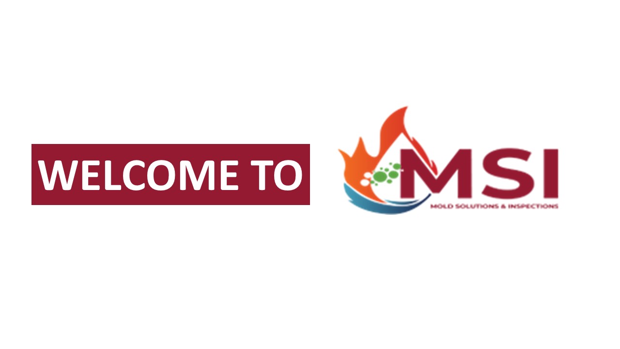 Welcome To Water Damage Restoration Services