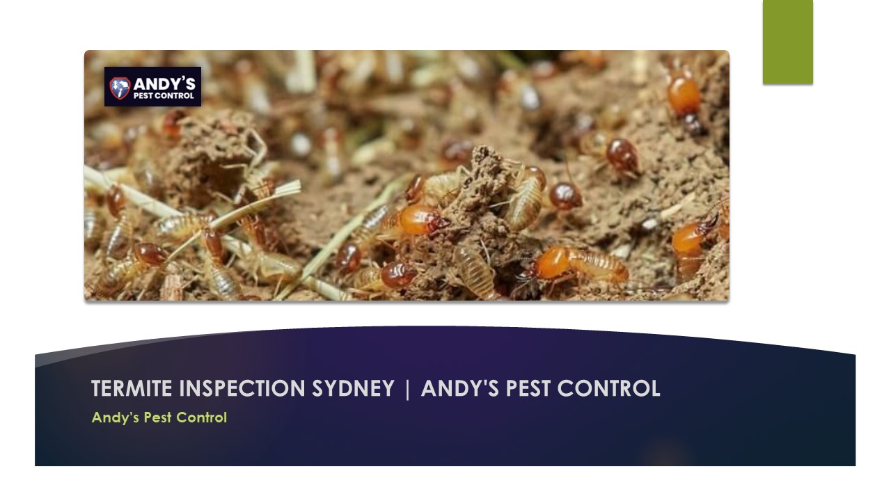 PPT Termite Inspection Sydney Andy's Pest Control PowerPoint