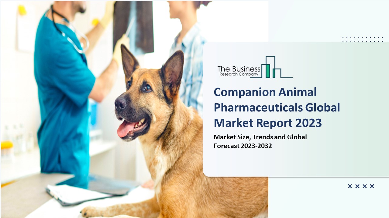 Companion Animal Pharmaceuticals Market Growth Trajectory, Key Drivers And Trends