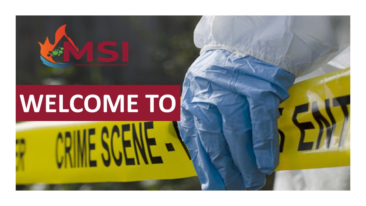 Crime And Suicide Scene Cleanup