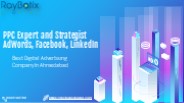 PPC Expert and Strategist | Adwords, Facebook, LinkedIn