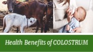 Health Benefits of Colostrum immune Support