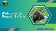 Gorilla Trekking with Engagi Safaris