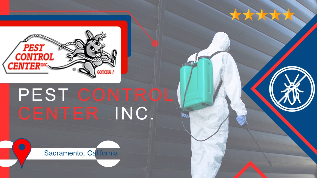 PPT Pest Control Service Provider Company in Sacramento, CA