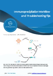 Immunoprecipitation Workflow and Troubleshooting Tips