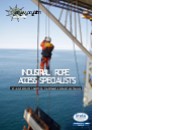 Industrial Rope Access Services - Inspection Repair & Maintenance